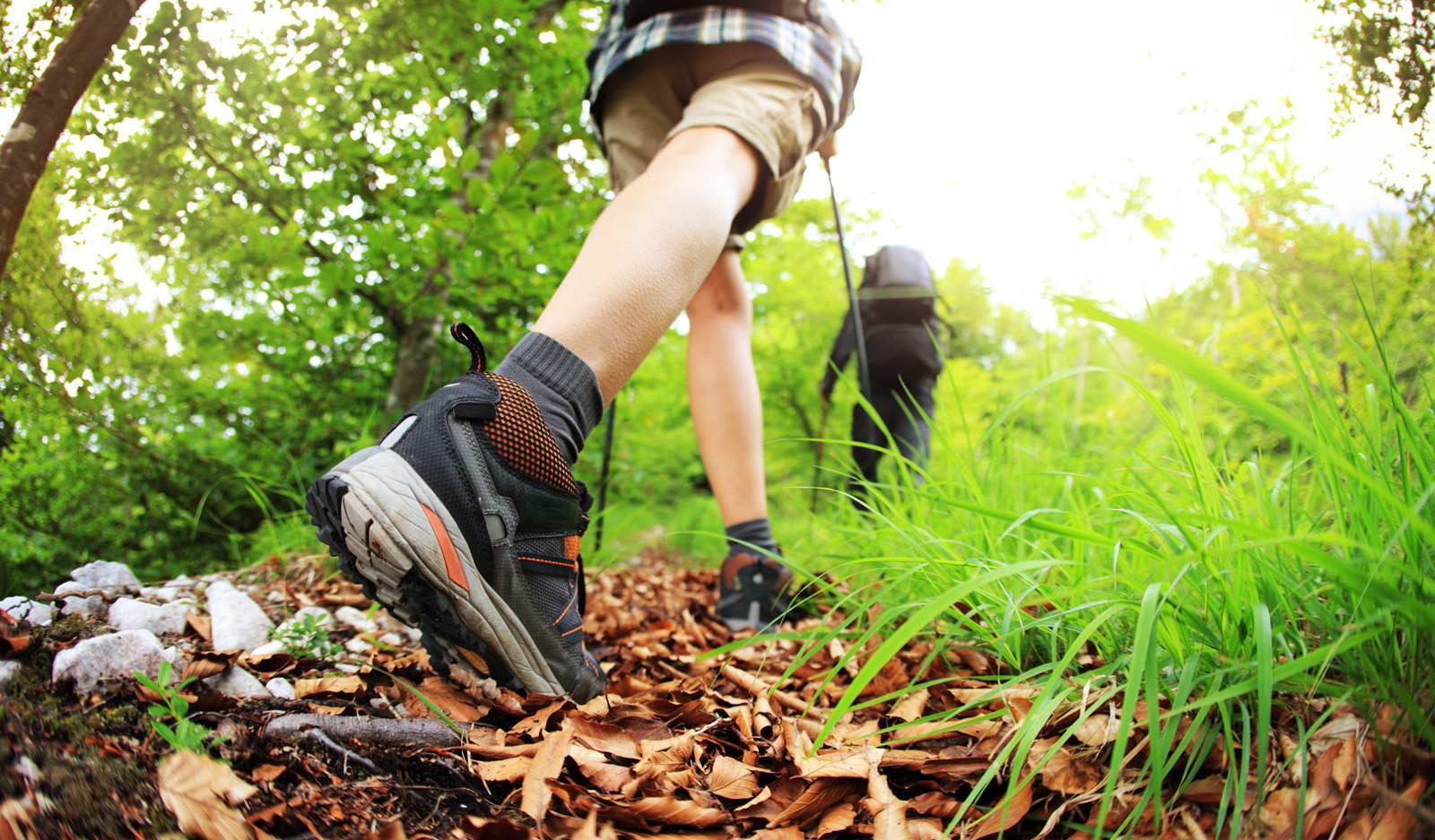 nordic-walking-gruppe